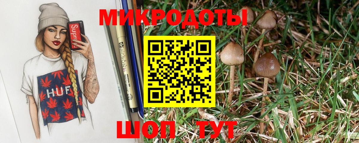 хочу   Псилоцибиновые грибы прущие грибы  Вход с VPN  Саранск 