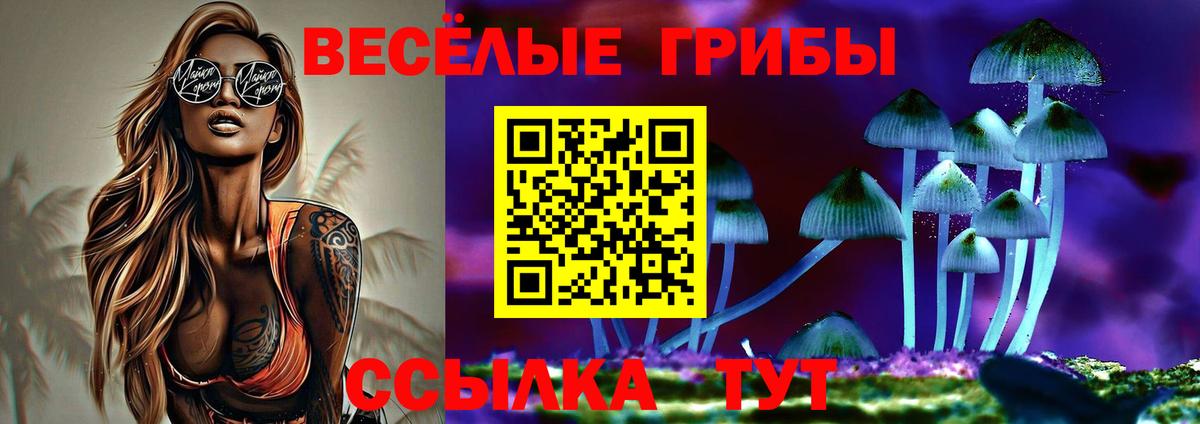 Галлюциногенные грибы MAGIC MUSHROOMS Саранск